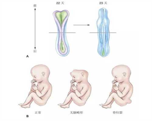 深圳助孕机构哪家靠谱,孕晚期注意事项大全，超