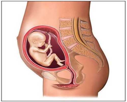 深圳助孕去,孕期，它是胎儿畸形筛查最早的检查