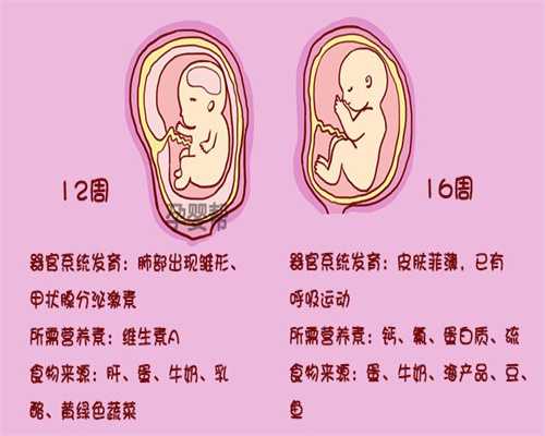 安利纽崔莱铁质叶酸片,孕妈妈孕育新生命的福音