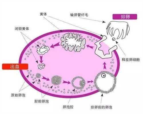 深圳代生宝宝地址_涨奶 母乳哺育时最常见的问题