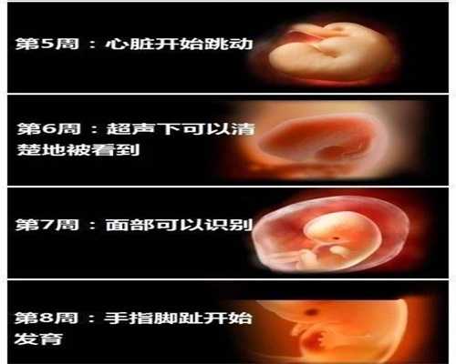 深圳专业代怀孕集团_孕前准备：男性生育趣味观
