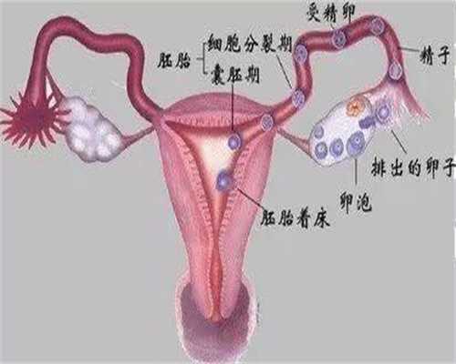 深圳代孕价格全国最低_32周宫口开了如何保胎