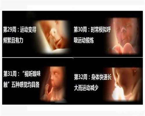 深圳代孕包龙凤胎多少钱_20天的婴儿发烧该怎么办呢？