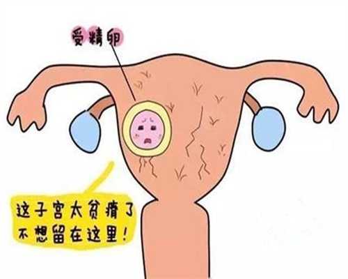 深圳专业代孕成功率_孕33周胎动频繁正常吗