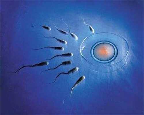 靠谱代孕网-代孕网收费-做代孕前的检查